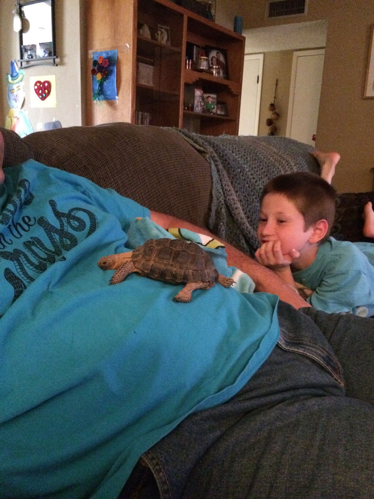 Share your desert tortoise photos